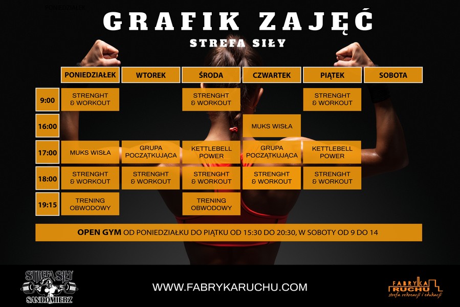 strefa siły grafik